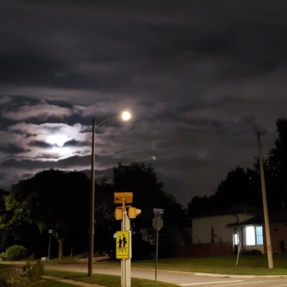 Meet your Posher, Andria - Picture 1 of 1